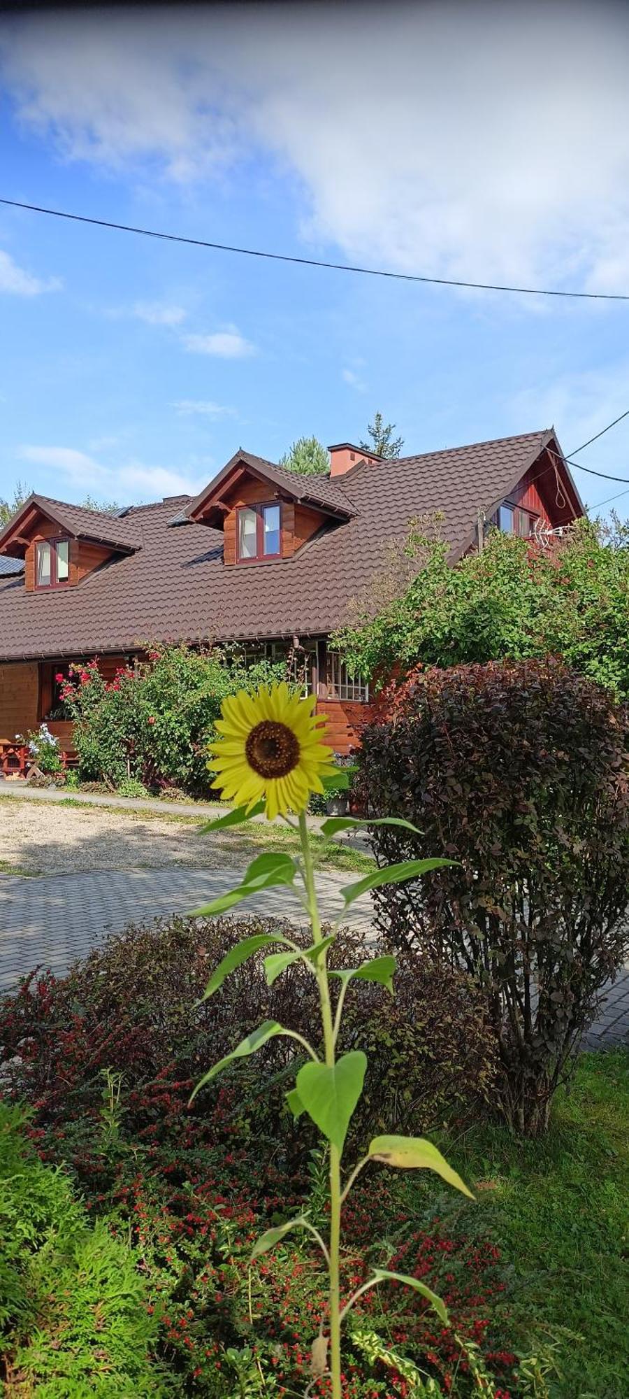 Mroczkowka Lägenhet Debowiec  Exteriör bild